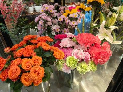 年銷花卉為春節(jié)添彩，禮品花卉銷售迎熱潮